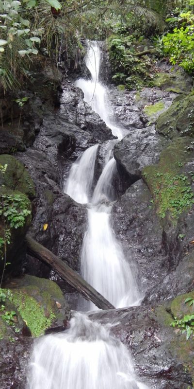 DSCN8312 (960x1280)
